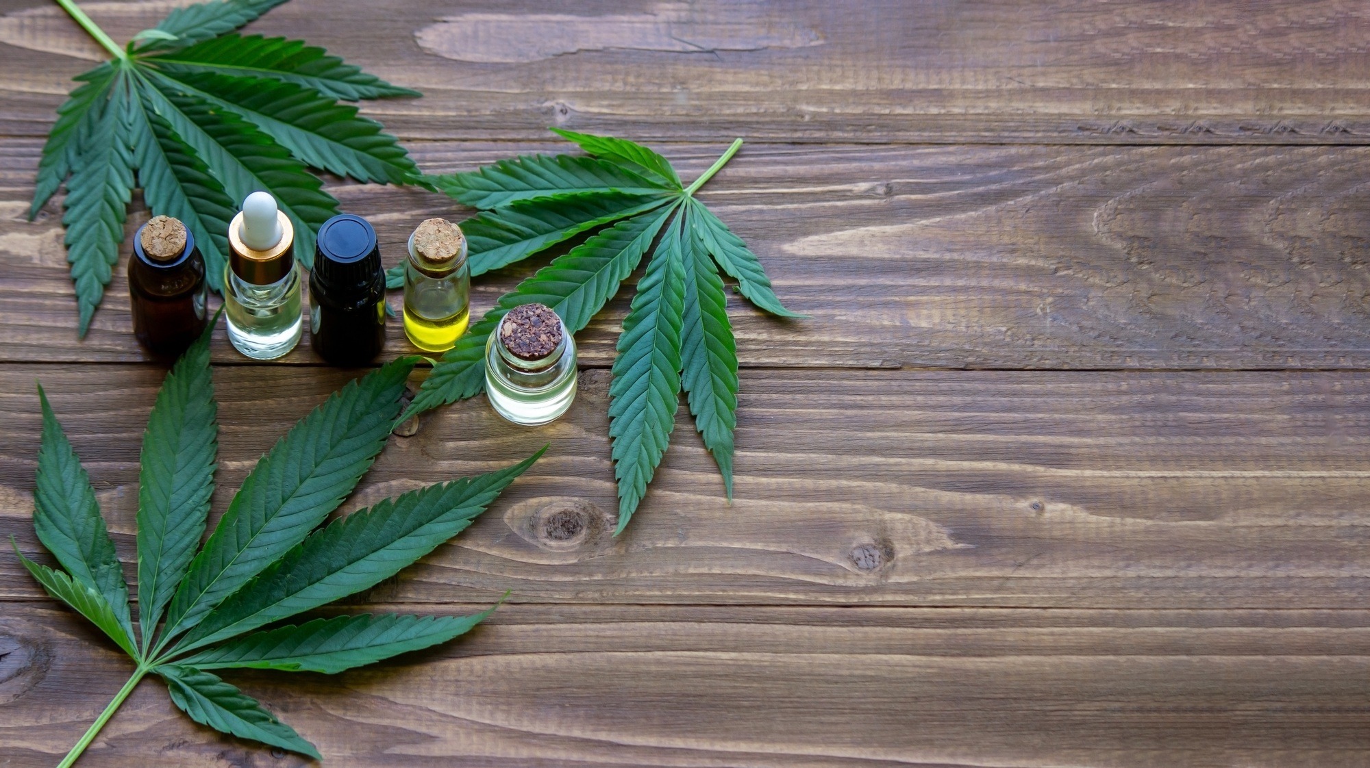 cannabis leaves on wood background with bottles, cannabis oil.