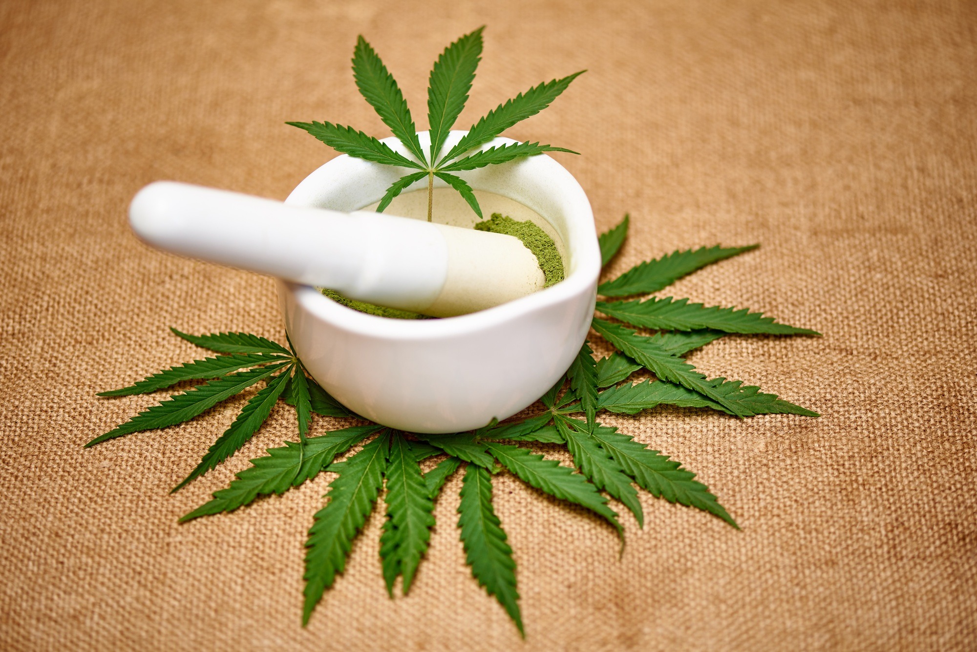 Medical cannabis